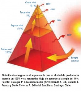 Pirámide de energía